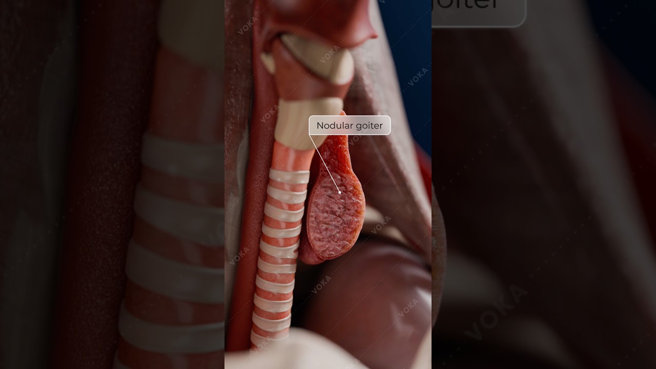 صورة مؤقتة لـ youtube