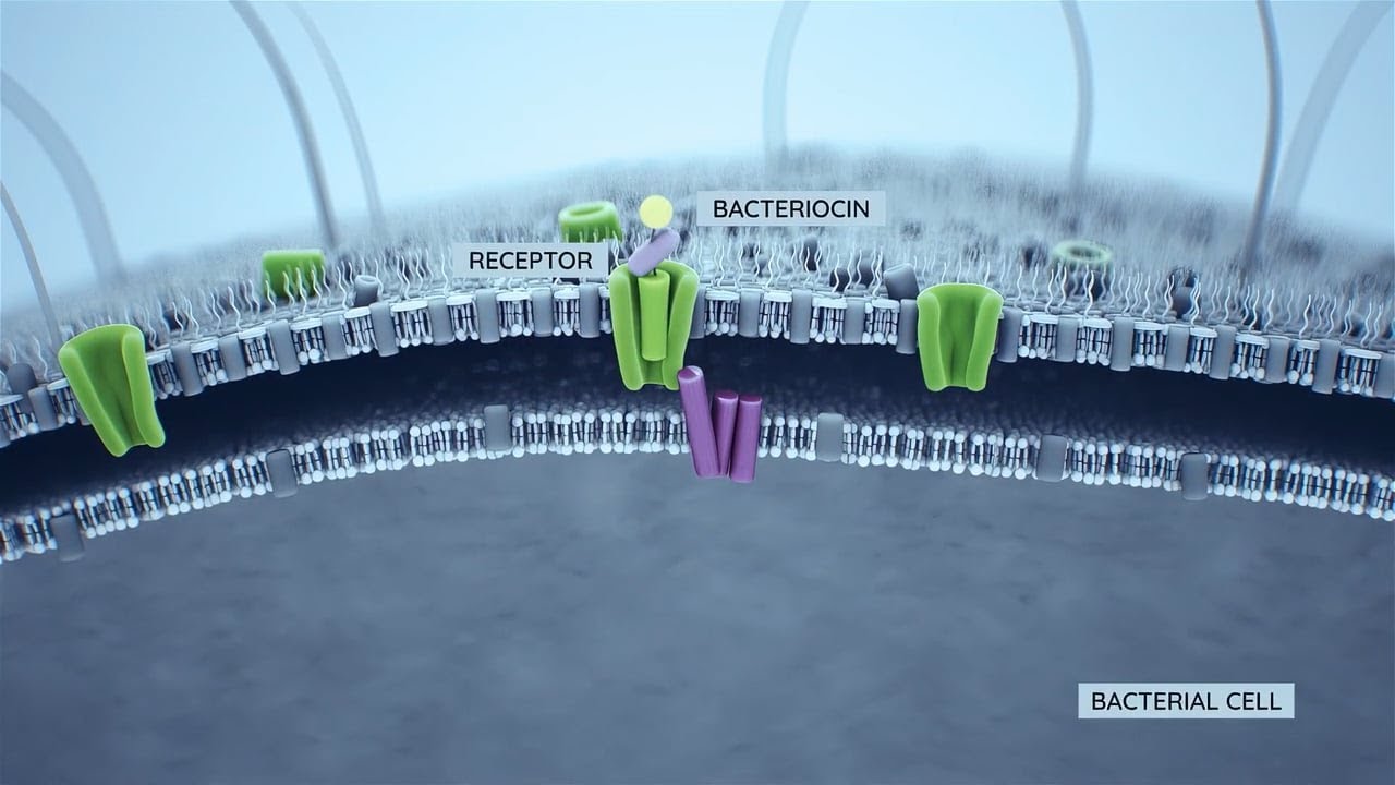 youtube placeholder image