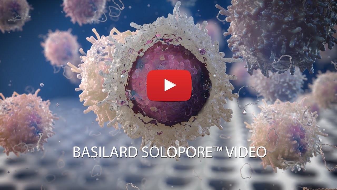 Immagine segnaposto youtube